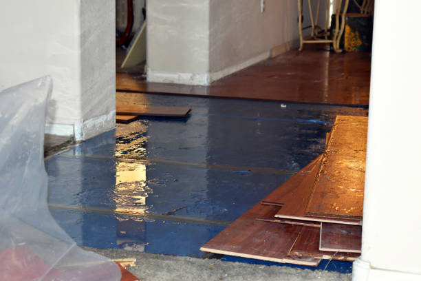 Professional Water Damage Restoration technician working in Overton, TX